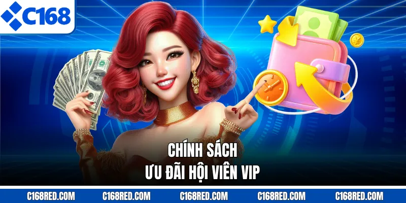 Chính sách ưu đãi hội viên VIP